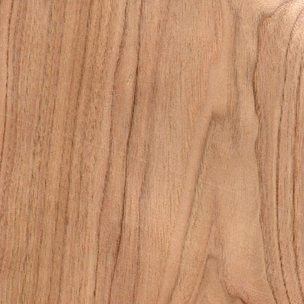 butternut-veneer-10-mil-blowout-veneer